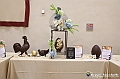 VBS_6587 - Pasqua è Reale 2024